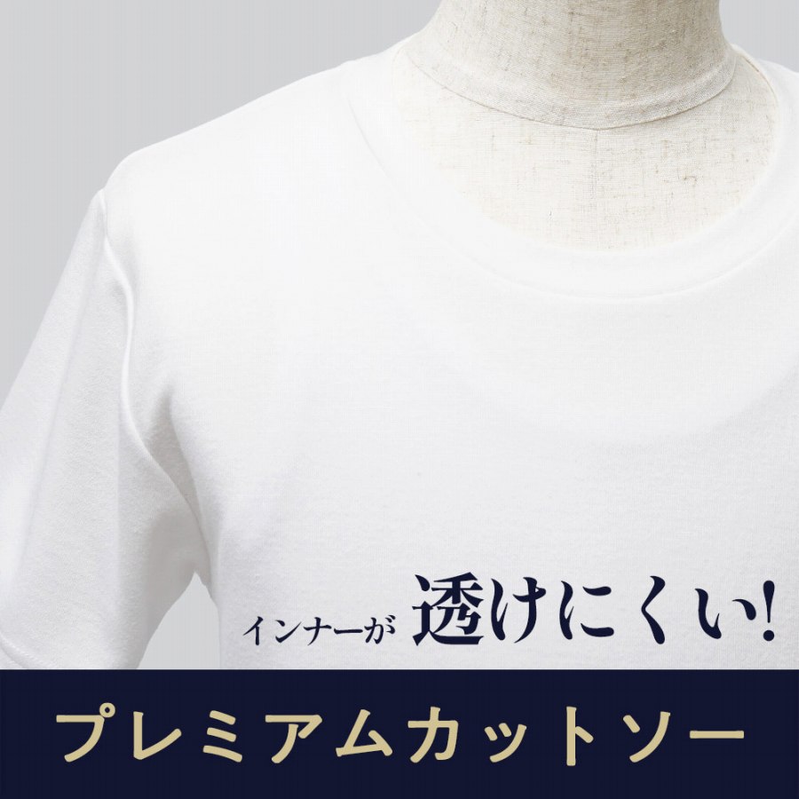 プレミアムカットソーで透けにくい例