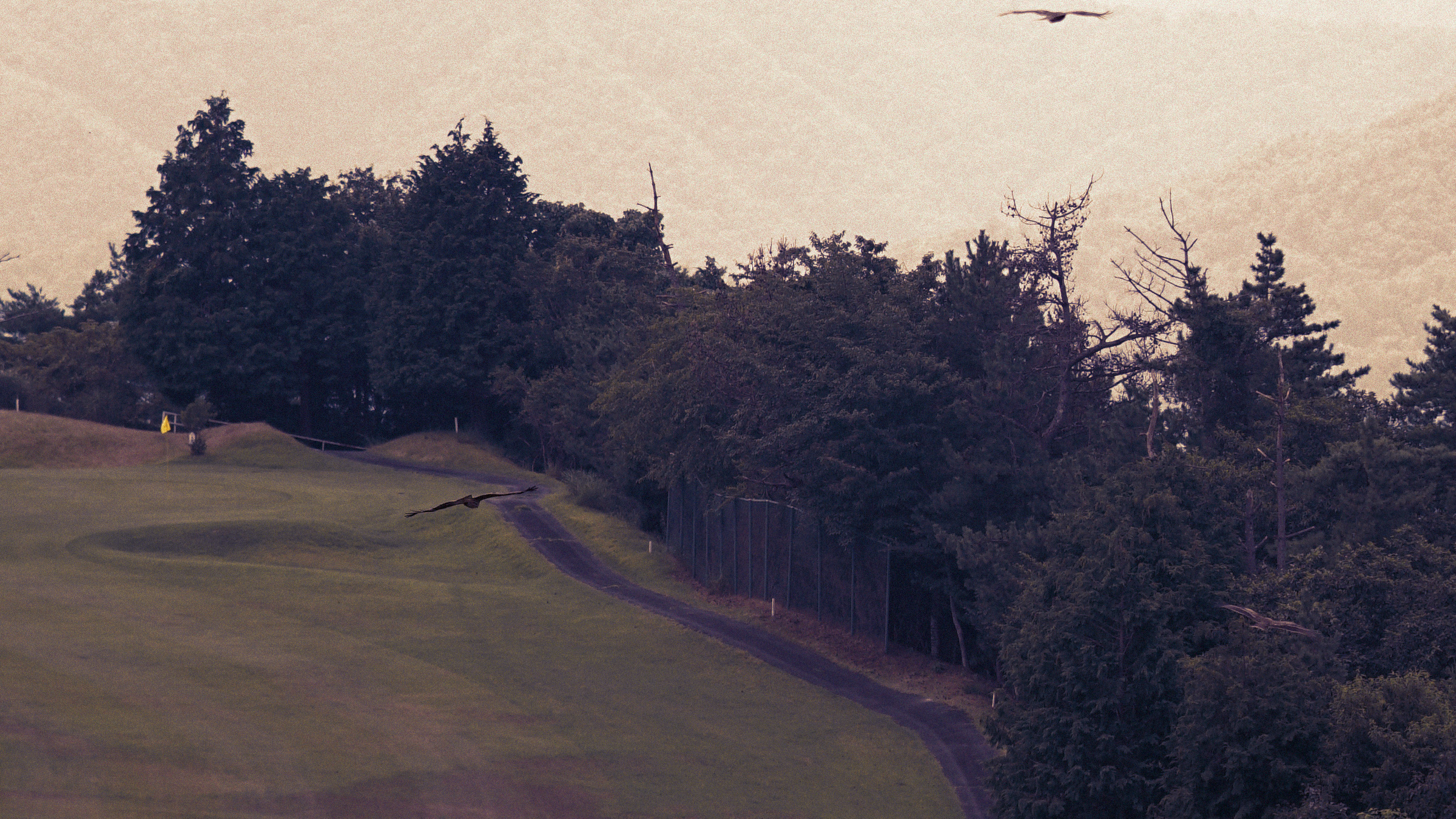 DIVINER GOLF A/W 風景