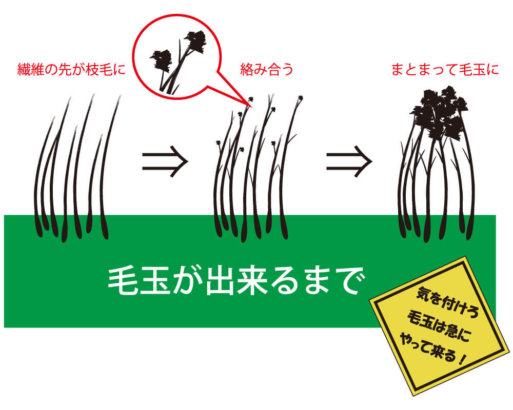 毛玉が部分的にあります。 毛玉ってなぜできる？そのメカニズムと