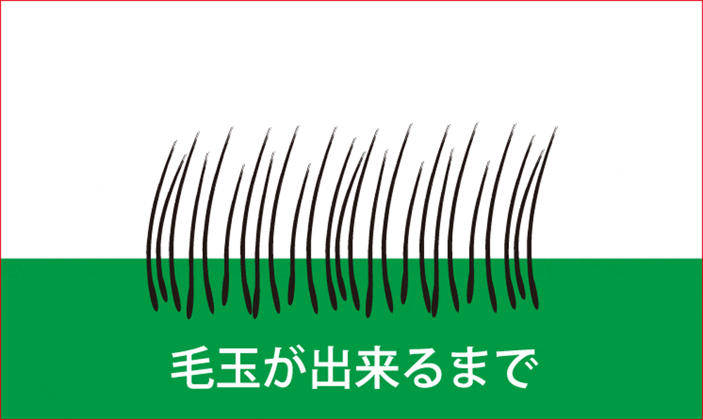 毛玉ってなぜできる 教えて 毛玉のメカニズム