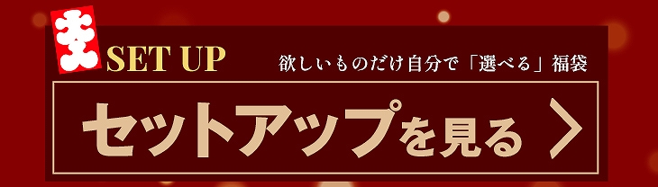 セットアップを見る